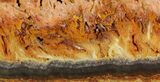 Colorful, Wild Fire Opal Slab (Not Polished) - Utah #115337-1